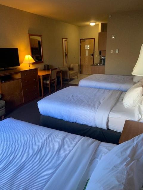 Clarion Pointe Hotel Rimbey Ngoại thất bức ảnh